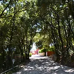 Spring 4* Perugia