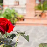 Bed & Breakfast Spring 4*