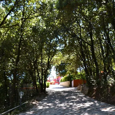 Spring 4* Perugia