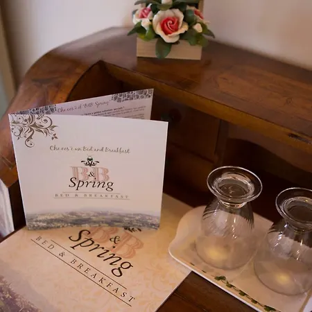 Bed and breakfast Spring Perugia