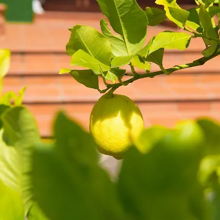 Spring Bed & Breakfast Perugia