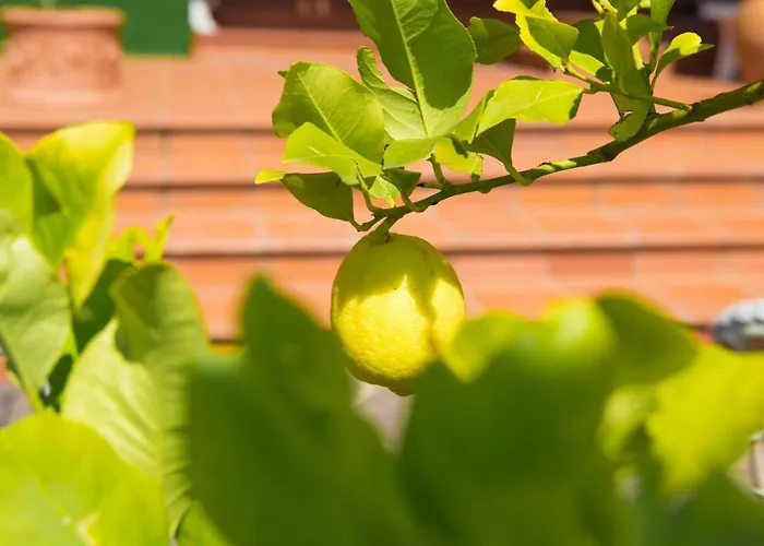 Spring Bed & Breakfast Perugia