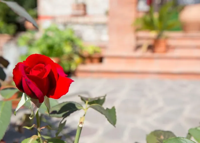 Bed and breakfast Spring 4*